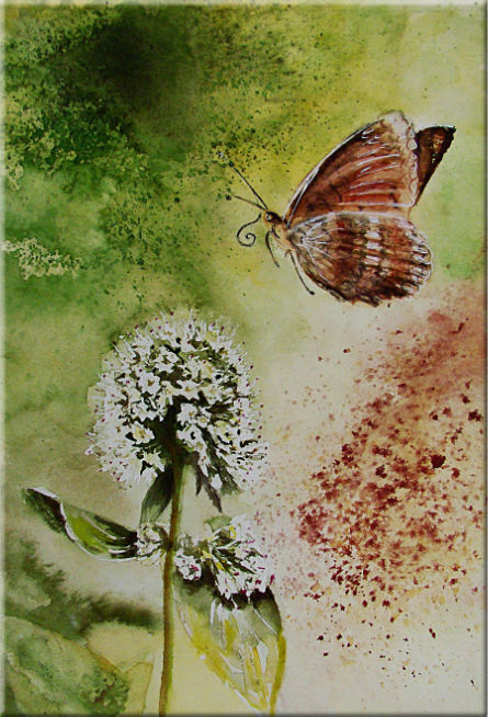 Vol du papillon, Mélitée des centaurées, Fleurs, plantes, nature - Nos amies les betes - , aquarelle originale encadree, aquarelle avec cadre, carnet de voyage, aquarelle du monde