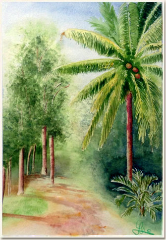 Original watercolour, Small familiar path, Darwin - Northern Territory - Australia, paint, watercolour, world diary, watercolour , 