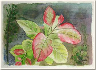 Original watercolour, Red leaves, paint, watercolour, world diary, watercolour , 