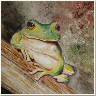 Original watercolour, Sarde frog, From a Quentin's photo, paint, watercolour, world diary, watercolour , 