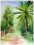 Small familiar path, Darwin - Northern Territory - Australia, painting, aquarelle, watercolour, travel diary, world, Clairanne Filaudeau 