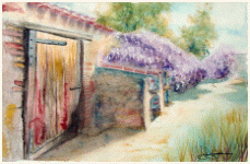 Wisteria and old stones, Spring flowering, painting, aquarelle, watercolour, travel diary, world, Clairanne Filaudeau 