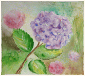 Mauve hydrangea from my garden, , painting, aquarelle, watercolour, travel diary, world, Clairanne Filaudeau 