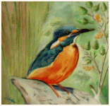 French Kingfisher, From a Quentin's photo, painting, aquarelle, watercolour, travel diary, world, Clairanne Filaudeau 