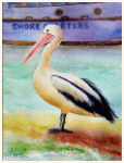 Pelican s rest, South Australia, painting, aquarelle, watercolour, travel diary, world, Clairanne Filaudeau 