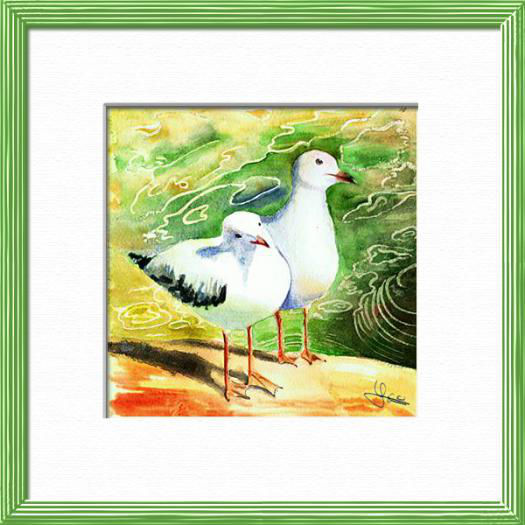 A couple of Seagulls on waterside, South Australia , Birds - , original framed watercolour, world travel diary, world watercolour