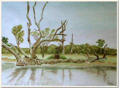 Aquarelle originale : Quelque part dans le bush, Territoire du nord, Clairanne Filaudeau, aquarelliste