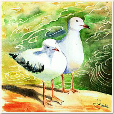 Aquarelle originale, Un couple de goélands au bord de l'eau, Australie du Sud, peinture, aquarelle, carnet de voyage , oiseaux, goélands, rivage, mer
