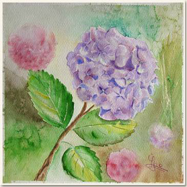Aquarelle originale, Un hortensia mauve de mon jardin, peinture, aquarelle, carnet de voyage , fleur, hortensia, rose, mauve, violet