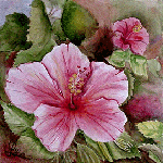 Aquarelle originale : Fleurs et plantes-Un hibiscus rose