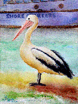 Aquarelle originale : Oiseaux-Un pélican au repos